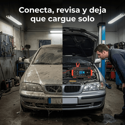 gid://shopify/MediaImage/31226559004845